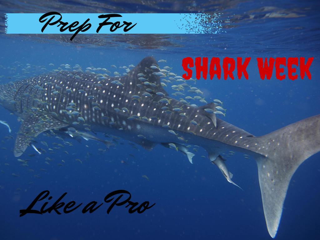 shark-week-prep