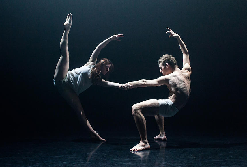 The 8th Annual Dance Gallery Festival