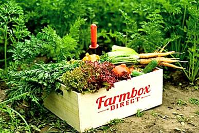 farmbox_direct_1