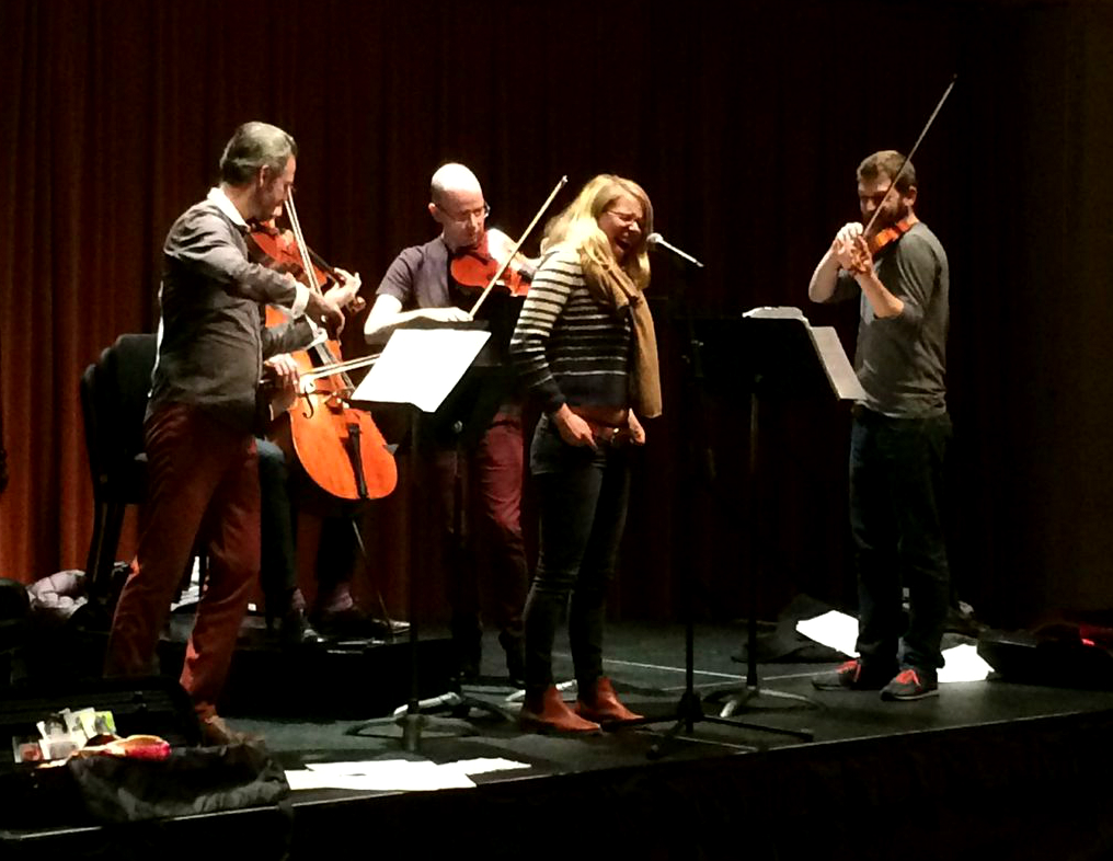 Brooklyn Rider and Friends at Carnegie Hall