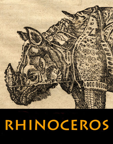 “Rhinoceros” Has Been Set Loose in the LES
