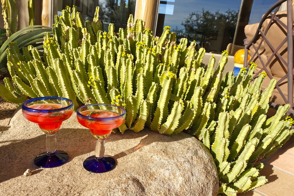 My Kind of Cinco with Sauza Tequila