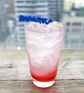 Red White and Blueberry Cocktail 3