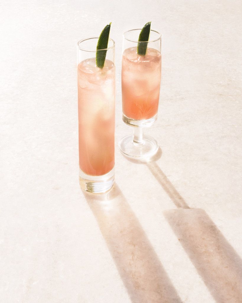 Photo Credit Pomp & Whimsy_sips_whippet_1