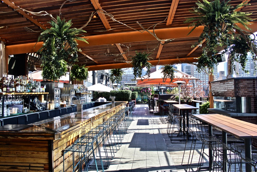 Roof at Park South Bar