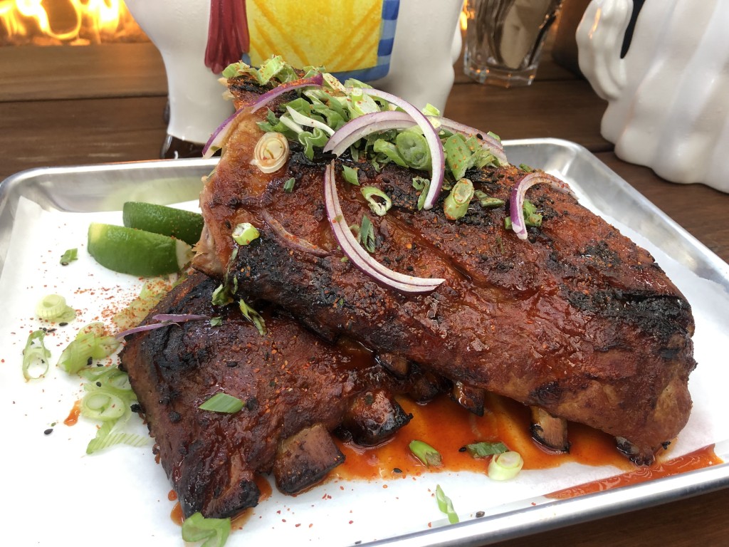 roof-south-park-ribs