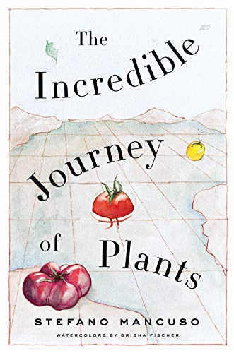 Stefano Mancuso’s Latest Book Takes a Deep Dive Into the Life of Plants