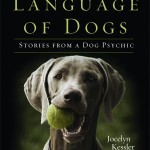 On The Secret Language of Dogs