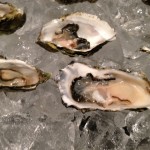 Oysters Galore at Shuckeasy