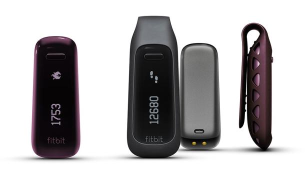 Get Fit with the Help of a FitBit