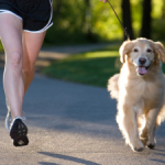 Get Your Fitness on with Fido