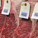 Master Purveyors, Bronx, New York