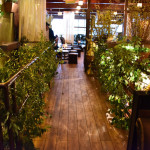 Fling Yourself Into Spring at Pergola's Enchanted Forest