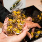 All About Olives From Spain