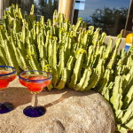 My Kind of Cinco with Sauza Tequila DSC04024