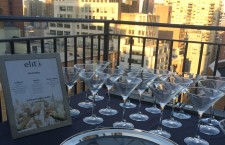 Putting the ‘elit’ in Elite on World Martini Day