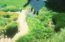 Never Lose Anything Again with the Tile