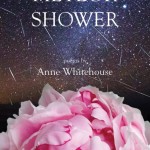 meteor-shower-cover-428×642