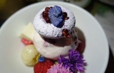 NOLET’s Gin Takes Over The Palm Court at The Plaza