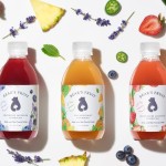 bears-fruit-kombucha