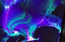 INTERSECT x LEXUS: An Homage to Innovation