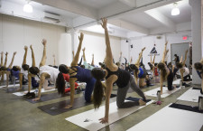 Asana Rebel + Blank Label Join Forces for Their U.S. Launch