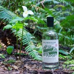 Cannabis-Infused Vodka Hits the Market!