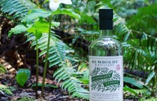 Cannabis-Infused Vodka Hits the Market!