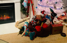 Don’t Forget Gifts for Your Furry Friends Over the Holidays!