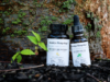 Black-Owned CBD Company Brooklyn Hempology Delivers Consistent Relief
