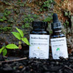 Black-Owned CBD Company Brooklyn Hempology Delivers Consistent Relief