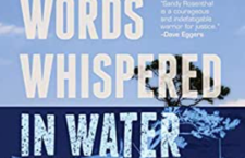 Words Whispered in Water: One Woman’s Search for the Truth Behind Hurricane Katrina