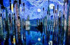 Photo credit: Nina Westervelt