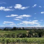 Escape to Napa & Sonoma: An Introduction To California’s Wine Country
