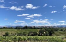 Escape to Napa & Sonoma: An Introduction To California’s Wine Country